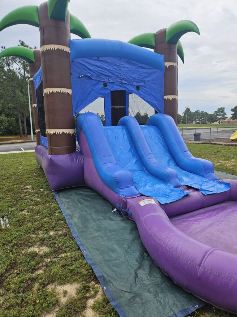 Blue and purple dual lane water slide with palm trees