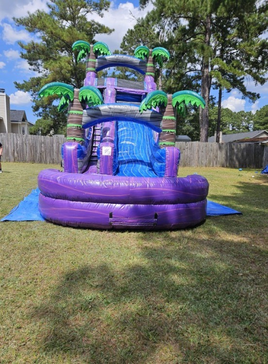 The Big Kahuna 22 ft palm tree water slide